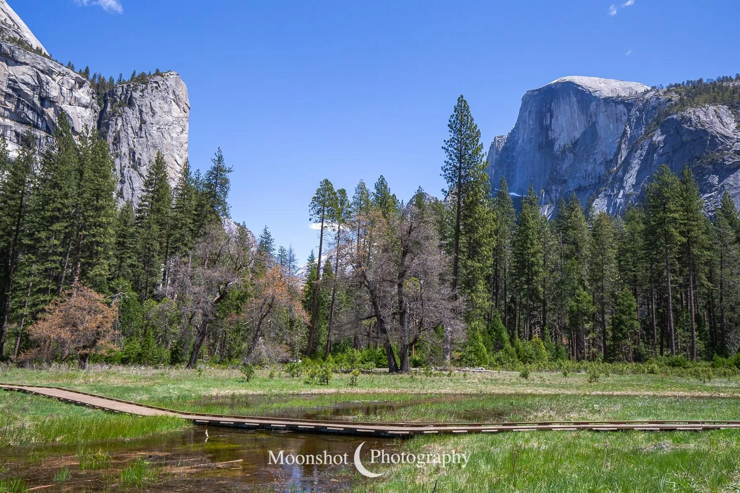 Yosemite National Park - A Return to the Sierras — Moonshot
